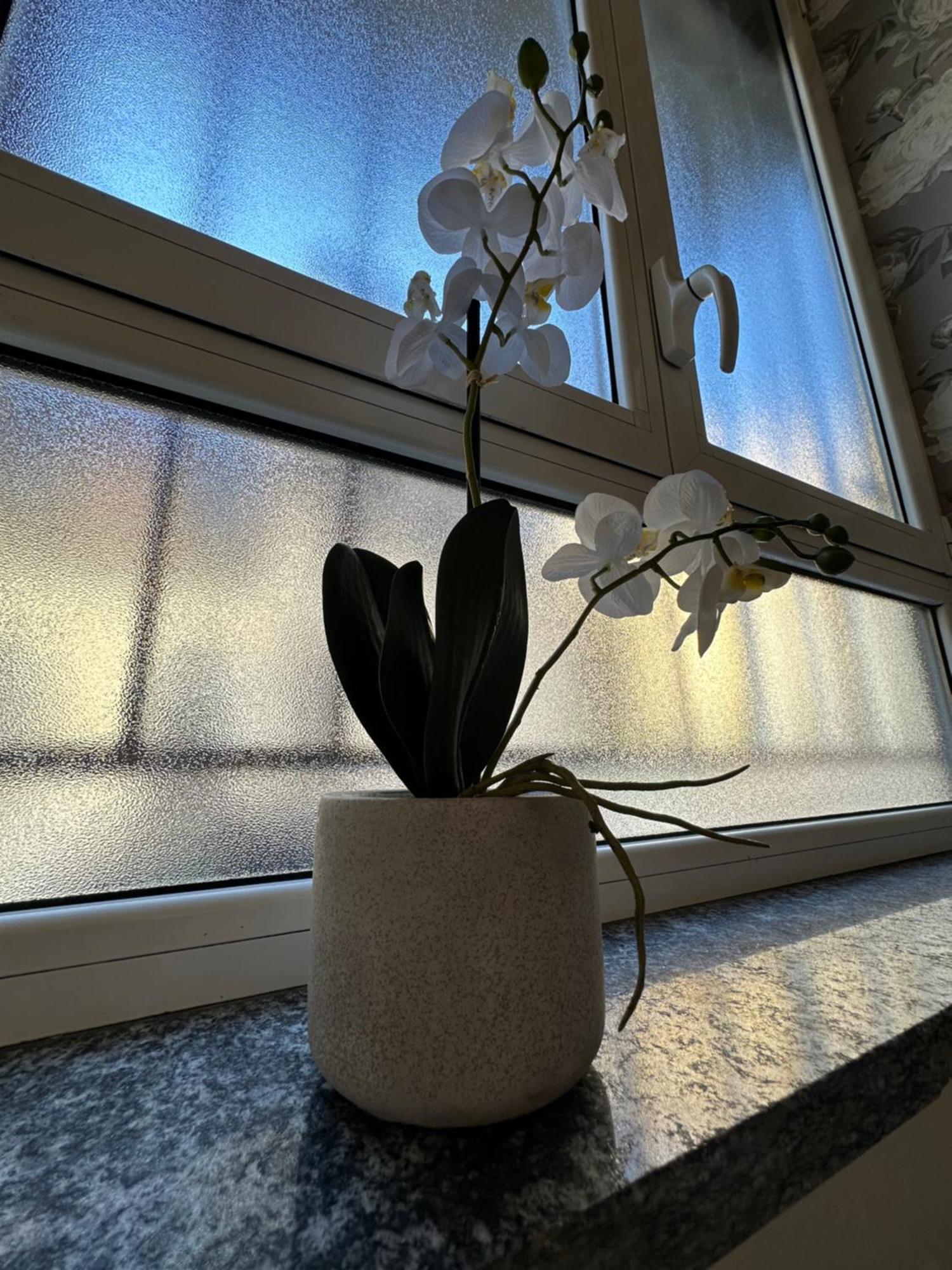 Flowers, A Cozy Suite In Milano Exterior foto